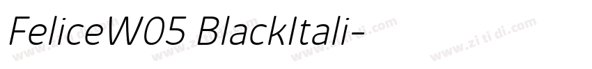 FeliceW05 BlackItali字体转换
